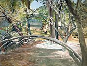 Tree Bridge  1997